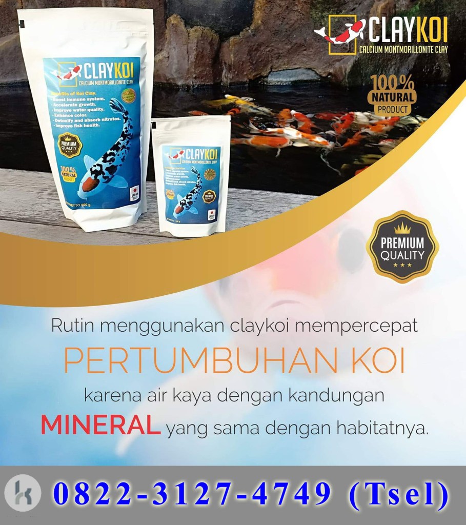 Jual Penjernih Kolam Aquarium Ikan Koi Keruh Berbusa Alga Claykoi Surabaya Surakarta Tangerang Tasikmalaya, My Koi Collection, Rahasia Air Kolam Tetap Jernih, Filter Dan Isi Chamber Kolam Koi Outdoor Jernih Sekali, Agar Kolam Koi Selalu Jernih, Air Kolam Koi Mau Jernih ???, Pembuatan Kolam Ikan Koi Sederhana, Cara Menjernihkan Air Kolam Ikan Dengan Mudah How To Clear The Fish Pond Water Easily, Tips Membuat Kolam Ikan Koi Tetap Bersih Dan Bening, Mudah!! Kolam Ikan Koi Jernih Banget, Tips Membuat Kolam Ikan Koi Tetap Bersih Dan Bening, Filter Kolam Koi Jernih Murah Dan Hemat Biaya, Air Kolam Koi Berkabut ClayKoi, Alat Penjernih Air Kolam Ikan Koi ClayKoi, Bakteri Strater Kolam Koi ClayKoi, Cara Menjernihkan Air Kolam Ikan Koi ClayKoi, Cara Penjernihan Air Kolam Ikan Koi ClayKoi, Clay Kolam Koi ClayKoi, Clay Penjernih Air ClayKoi, Clay Premium Koi ClayKoi, Filter Penjernih Air Kolam Ikan Koi ClayKoi