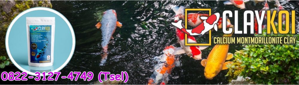 Penjernih Aquarium & Kolam Ikan KOI Claykoi +62 822-3127-4749 (Tsel)