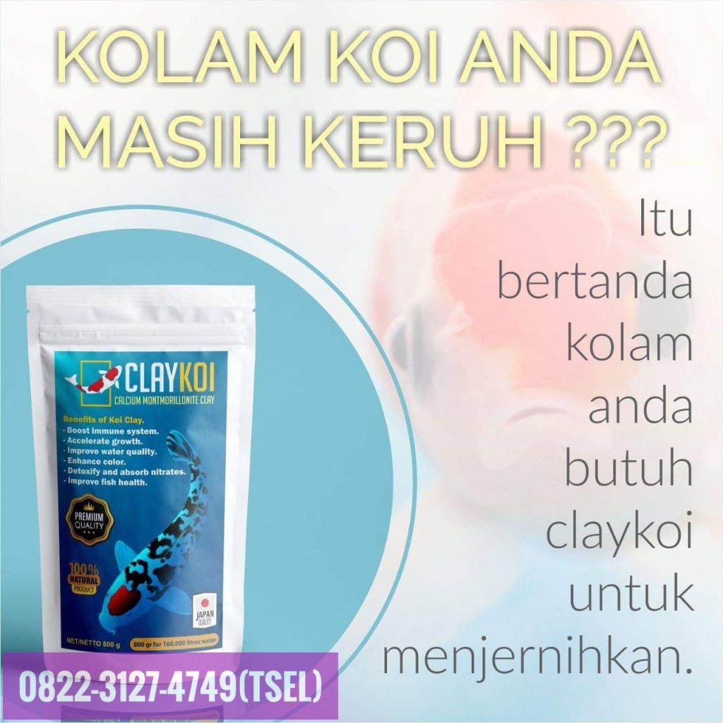 Alat Penjernih Air Aquarium, Bubuk Penjernih Air Akuarium, Cara Kerja Penjernih Air Akuarium, Cara Memakai Penjernih Air Akuarium, Cara Menggunakan Penjernih Air Aquarium, Cara Pakai Penjernih Air Akuarium, Cara Pemakaian Penjernih Air Aquarium, Cara Penggunaan Penjernih Air Akuarium, Dosis Penjernih Air Aquarium, Efek Penjernih Air Aquarium, Filter Penjernih Air Aquarium, Fungsi Penjernih Air Aquarium, Harga Obat Penjernih Air Aquarium, Jual Penjernih Air Aquarium, Kandungan Penjernih Air Aquarium, Kegunaan Penjernih Air Aquarium, Manfaat Obat Penjernih Air Aquarium, Media Penjernih Air Aquarium
